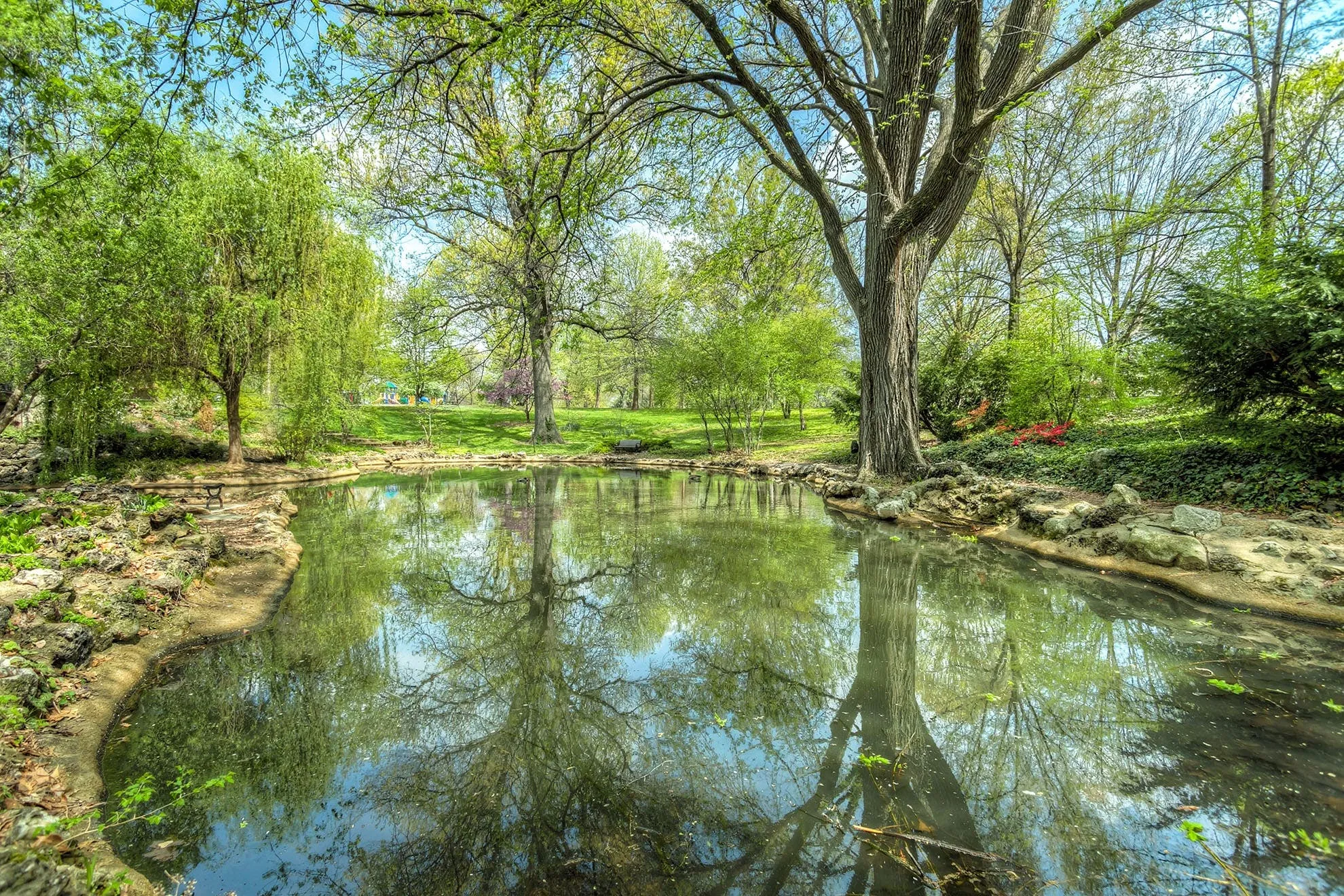 Global Initiative to Plant a Trillion Trees Achieves Milestone