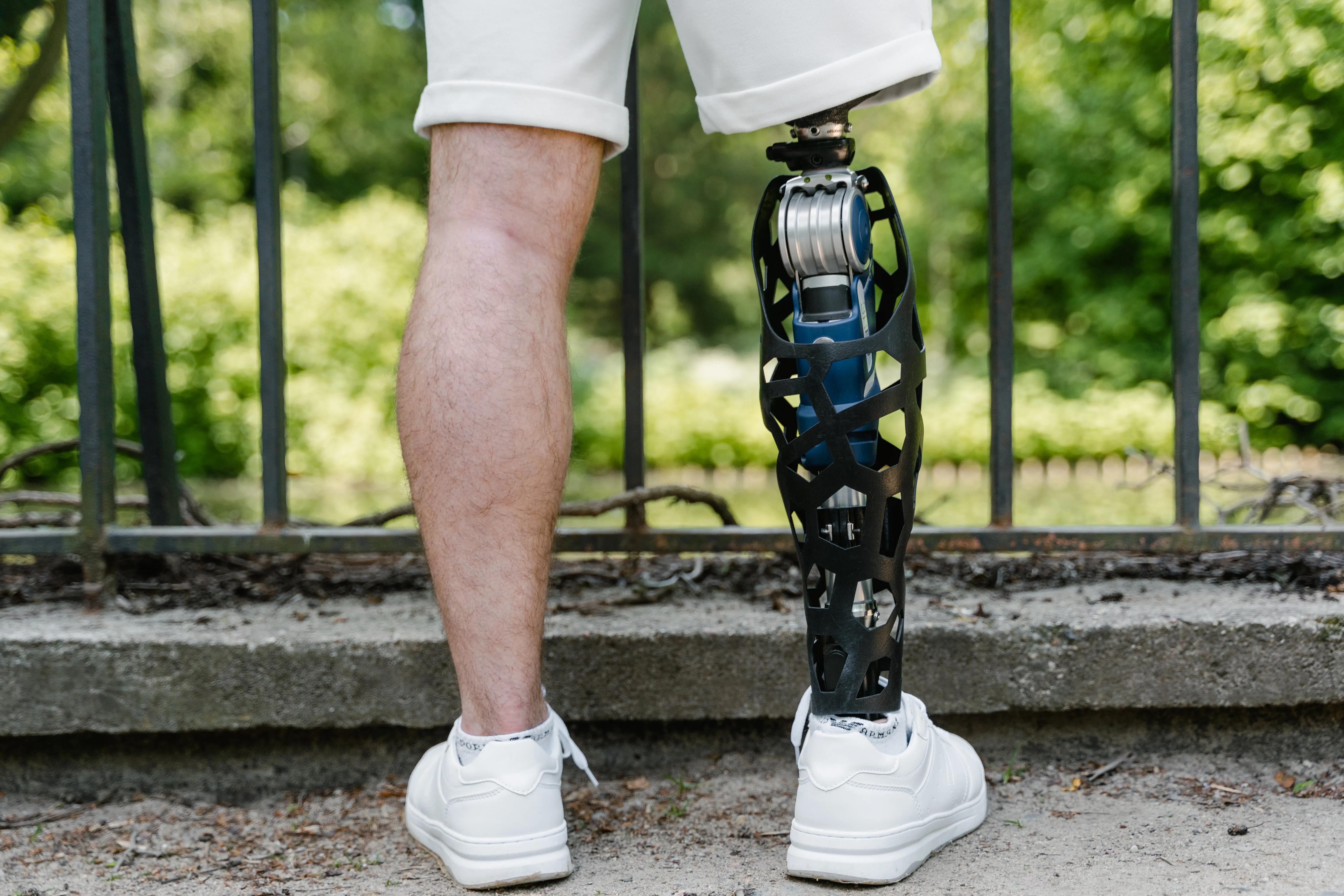 Major Breakthrough in Limb Regeneration Technology