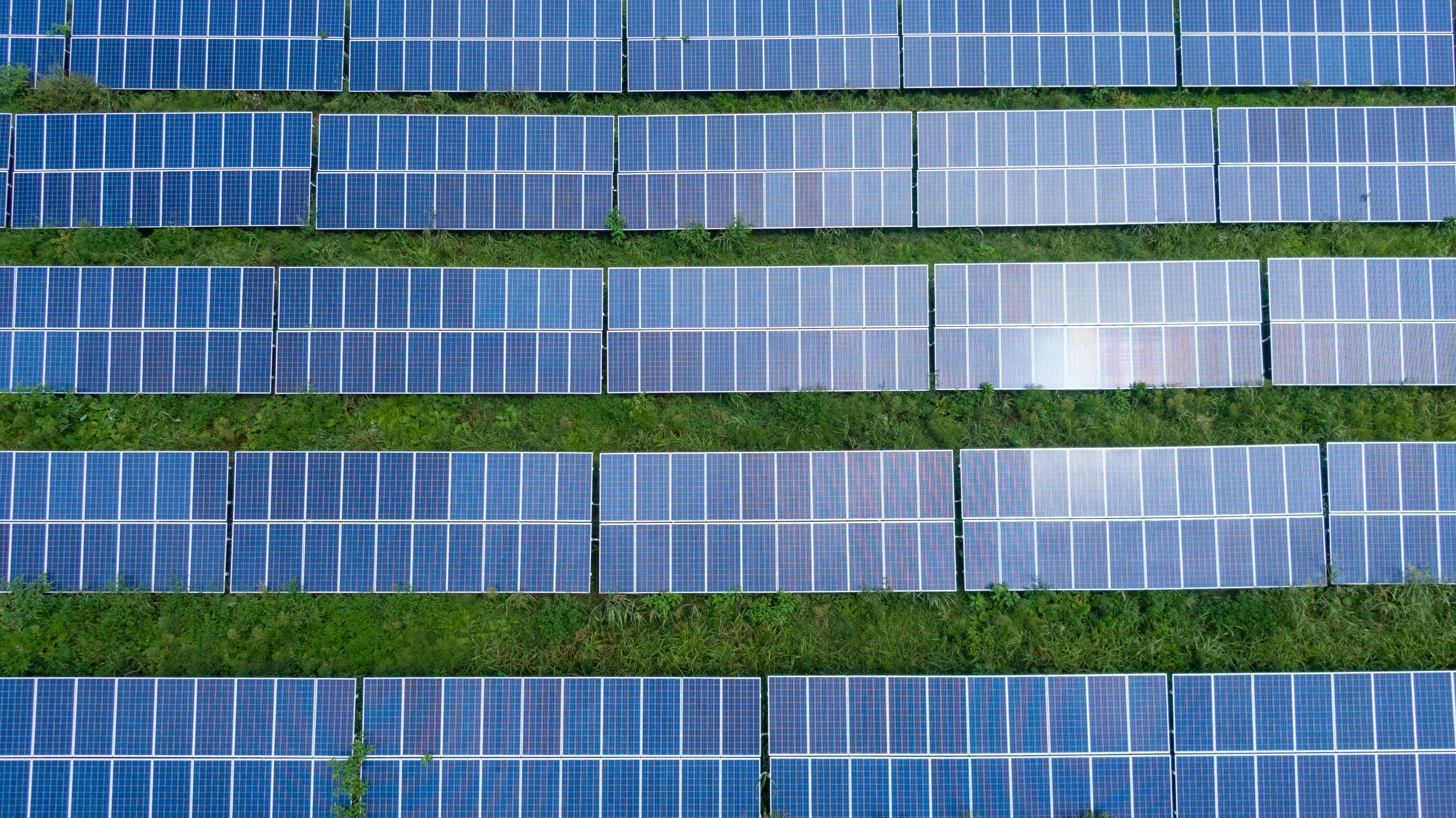 New Transparent Solar Panels Revolutionize Urban Energy