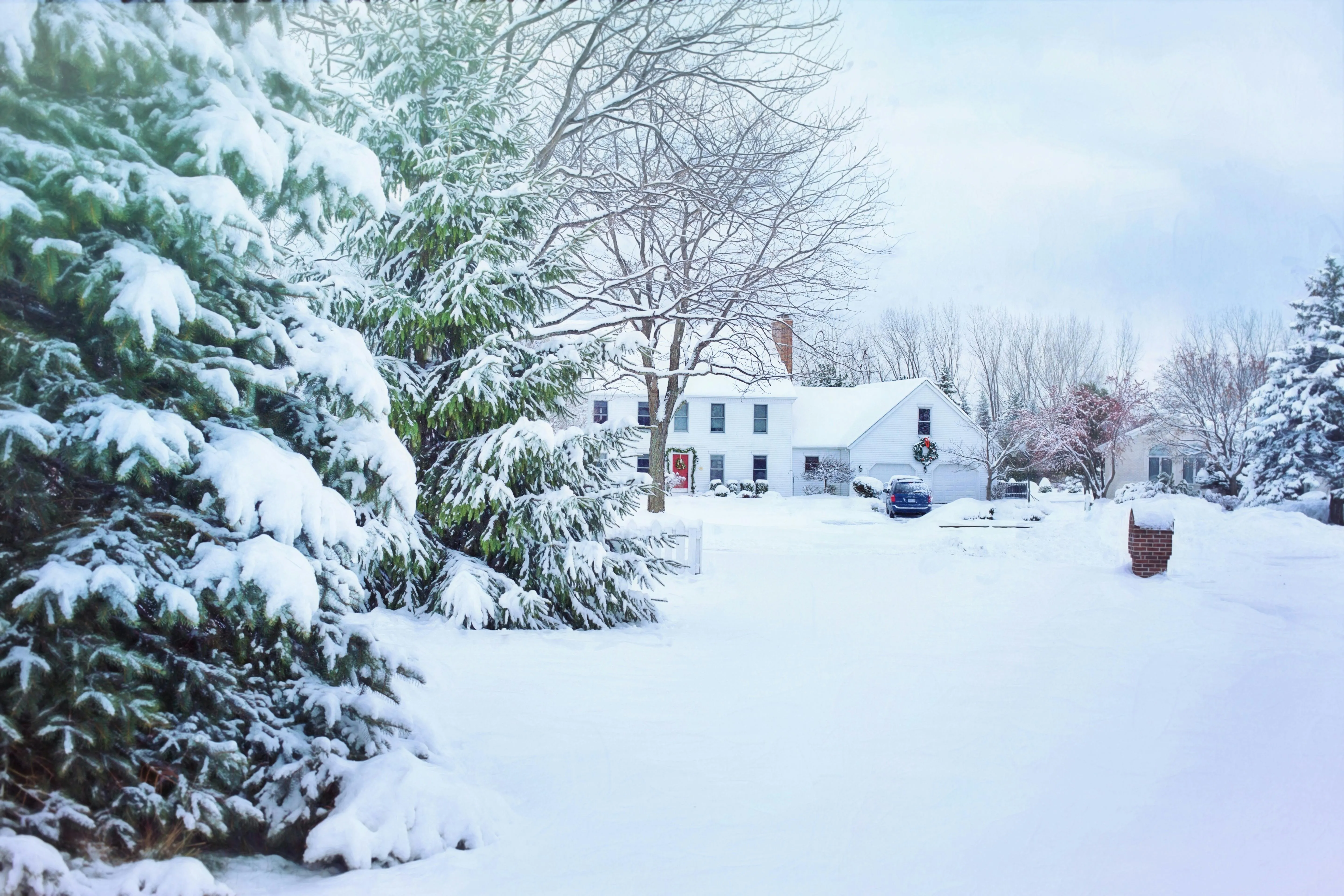 NOAA Projections: Potential for Another February Snowstorm in 2024 for Portland?