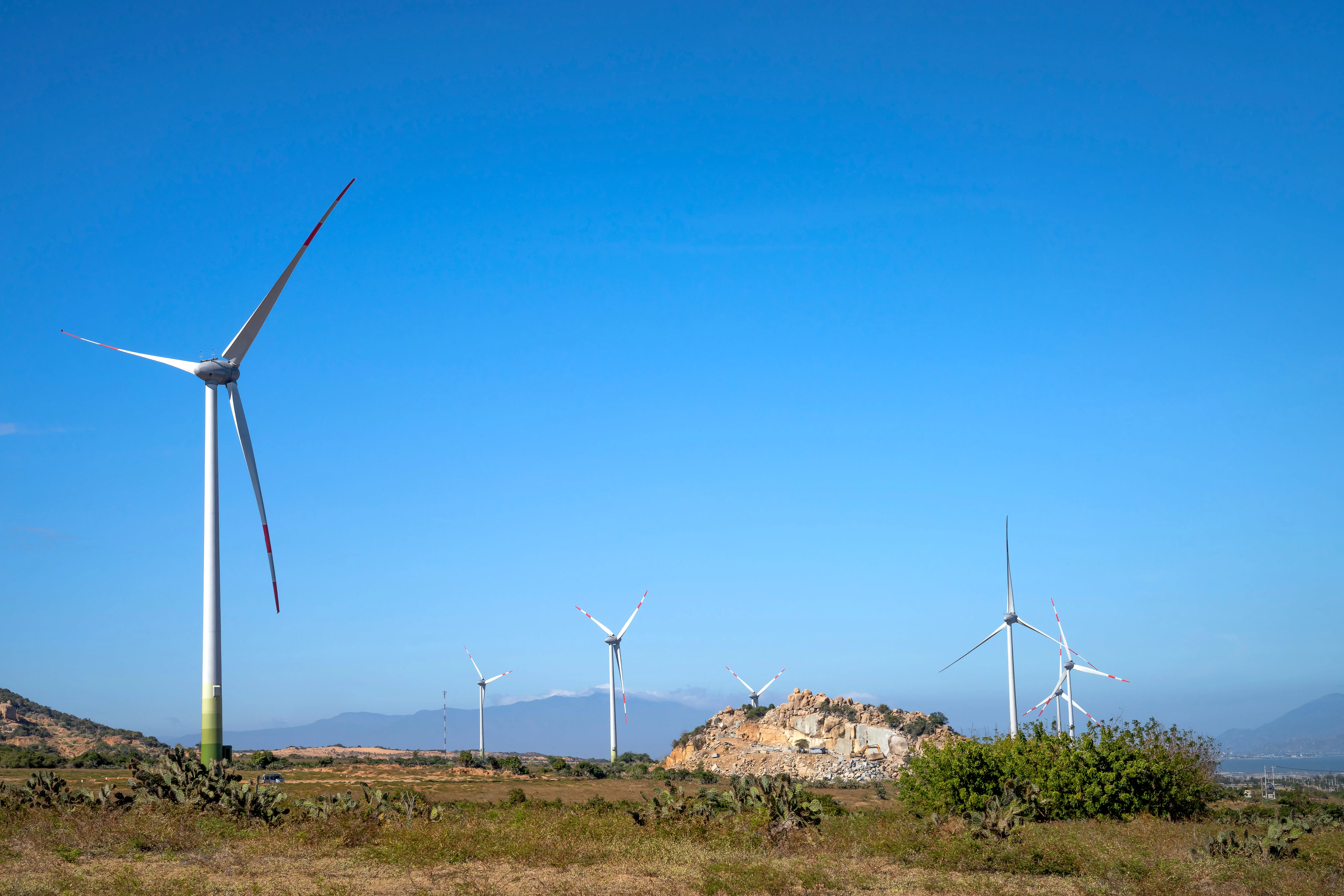 Renewable Energy Sources: The Race to a Green Future