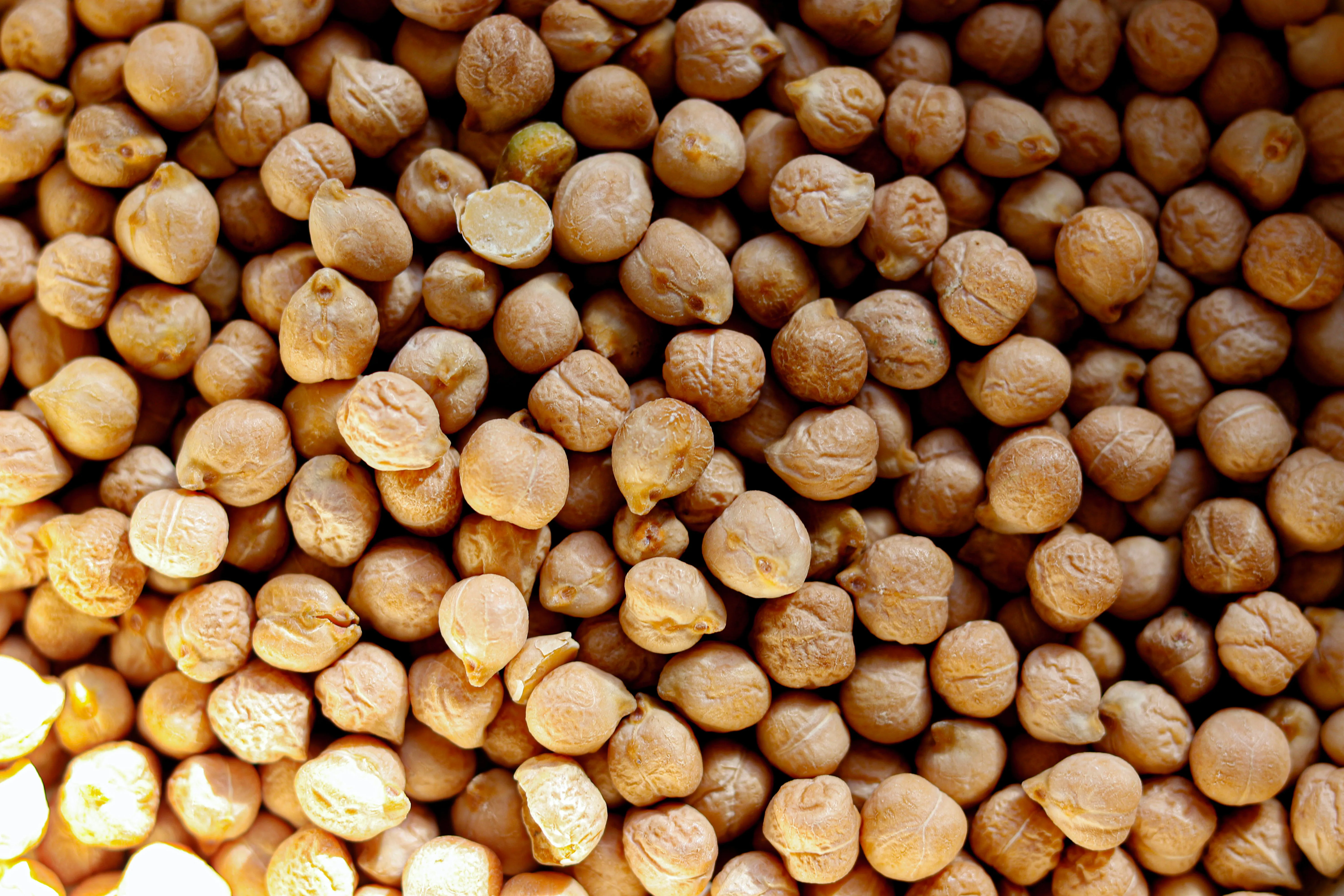 The Advantages of Consuming Garbanzo Beans for Health